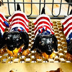 Blue Sky American Dachshund